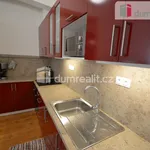 Rent 1 bedroom apartment in Praha 4