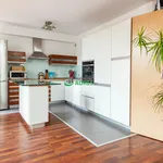 Rent 2 bedroom apartment of 50 m² in Wrocław