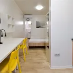 Rent 1 bedroom apartment in Brno