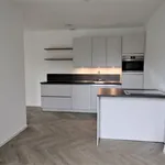 Rent 3 bedroom apartment of 122 m² in Maastricht