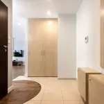 Rent 3 bedroom apartment of 75 m² in Warszawa