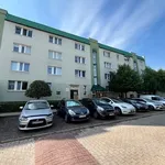 Rent 4 bedroom apartment of 65 m² in Poznan