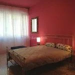 Rent 4 bedroom apartment of 80 m² in Asti