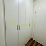 Rent 1 bedroom apartment in Vsetín