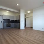 Rent 3 bedroom apartment of 69 m² in Ostrava