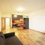 Pronajměte si 1 ložnic/e byt o rozloze 38 m² v Prague