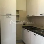 Rent 3 bedroom apartment of 60 m² in Bologna