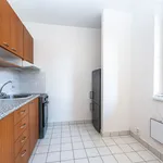 Rent 1 bedroom apartment in Horoměřice