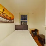 Rent 1 bedroom student apartment in Chippendale