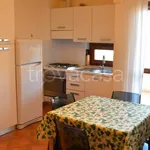 Rent 2 bedroom apartment of 55 m² in Fabriano