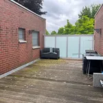 Rent 2 bedroom apartment in Gullegem