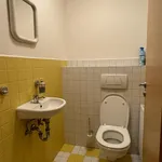 Rent 3 bedroom apartment in Prague