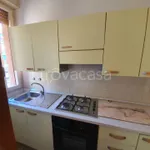 Rent 3 bedroom apartment of 75 m² in Bologna