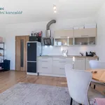 Rent 1 bedroom apartment in Praha 4