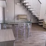 Rent 3 bedroom apartment of 60 m² in Calderara di Reno