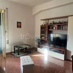 Rent 3 bedroom apartment of 65 m² in Frosinone