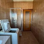 Rent 1 bedroom apartment of 45 m² in Piacenza