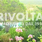 Two-family villa, excellent condition, 200 m², Porto Ercole, Monte Argentario