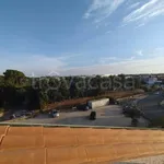 Rent 2 bedroom apartment of 60 m² in Ciampino