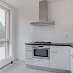 Huur 2 slaapkamer appartement van 75 m² in Amersfoort