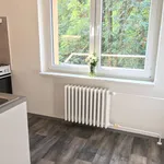 Pronajměte si 1 ložnic/e byt o rozloze 37 m² v Ostrava