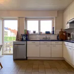 Rent 1 bedroom apartment in Waregem