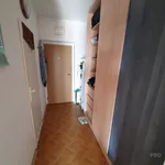 Rent 1 bedroom apartment in Brno