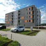 Pronajměte si 4 ložnic/e byt o rozloze 84 m² v Velký Osek