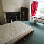 Rent 4 bedroom house in North East England