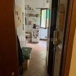 Rent 1 bedroom apartment of 35 m² in Siena