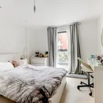 Rent 1 bedroom flat in Brighton