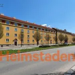 Rent 3 bedroom apartment of 54 m² in Trhový Štěpánov