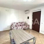 Rent 2 bedroom apartment of 55 m² in Velletri