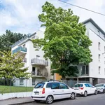 Rent 3 bedroom apartment of 65 m² in Nantes