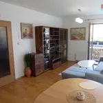 Rent 2 bedroom apartment of 45 m² in Rudná