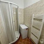 Rent 1 bedroom apartment in Brno