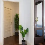 Rent 3 bedroom apartment in Porto