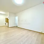 Rent 2 bedroom apartment in Teplice