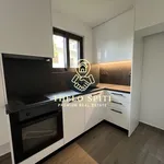 Rent 1 bedroom apartment of 40 m² in Eksoni