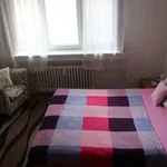 Rent 1 bedroom apartment of 32 m² in Brno