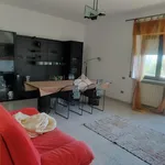 Rent 5 bedroom apartment of 160 m² in Rogliano