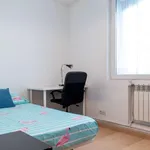 Rent a room in madrid