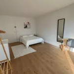  appartement avec 1 chambre(s) en location à Paris