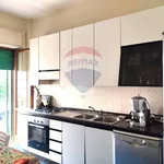 Rent 4 bedroom apartment of 110 m² in Caserta