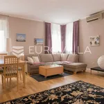 Rent 2 bedroom apartment of 126 m² in Zagreb