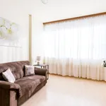 Rent 1 bedroom apartment of 25 m² in Seville