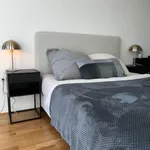 Rent 2 bedroom apartment of 60 m² in Leipzig