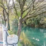 Rent 4 bedroom apartment of 90 m² in Treviso