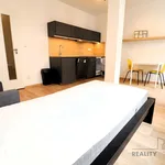 Rent 1 bedroom apartment of 60 m² in Brno