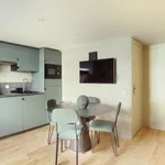 Rent 3 bedroom apartment of 49 m² in Paris